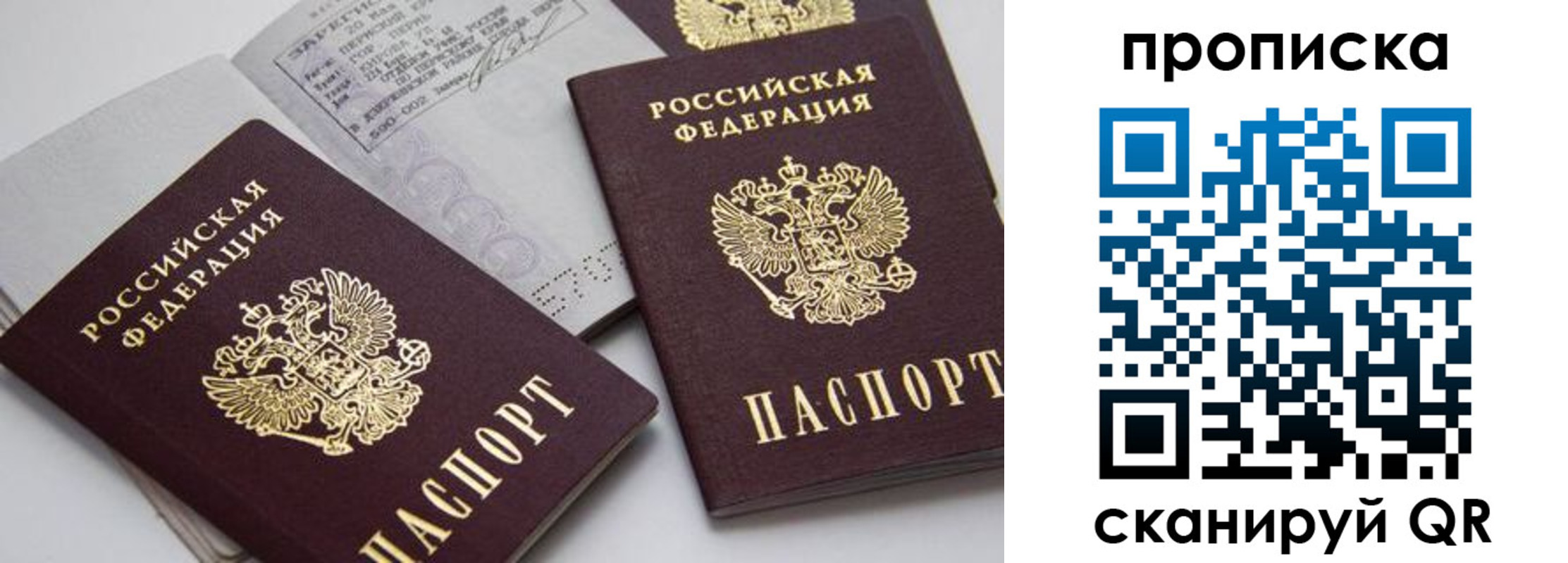 прописка в Сосновоборске